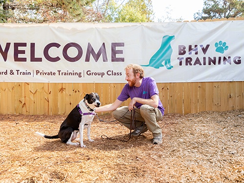 Everything You Need to Know about Barking Hound Village Training